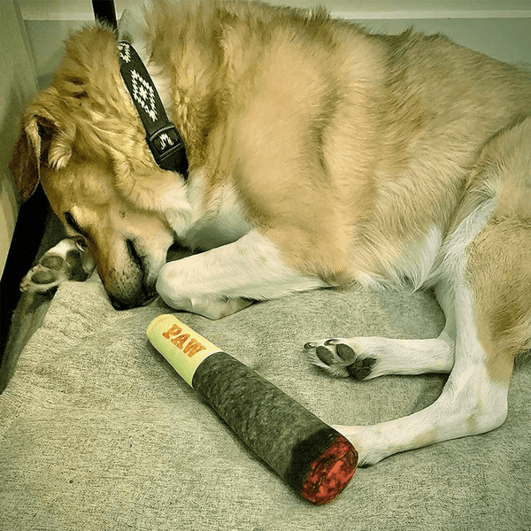 PAW BLUNT | Dog & Cat - 420 Pet Toy | Animal / Pets Birthday Gift IdeaJustSmoke.Me