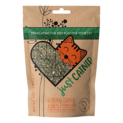 Just Catnip Organic Catnip for Cats Fine Blend Cat Nip Grown in South Africa Extra Strong Cat Toy Cat Treat Natural Ethical and Sustainably Farmed Catnip 30g JustSmoke.Me